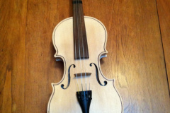 Violin-by-Brian-Gooden