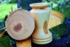 Wooden-Vase-and-Branch-by-Glen-Alman